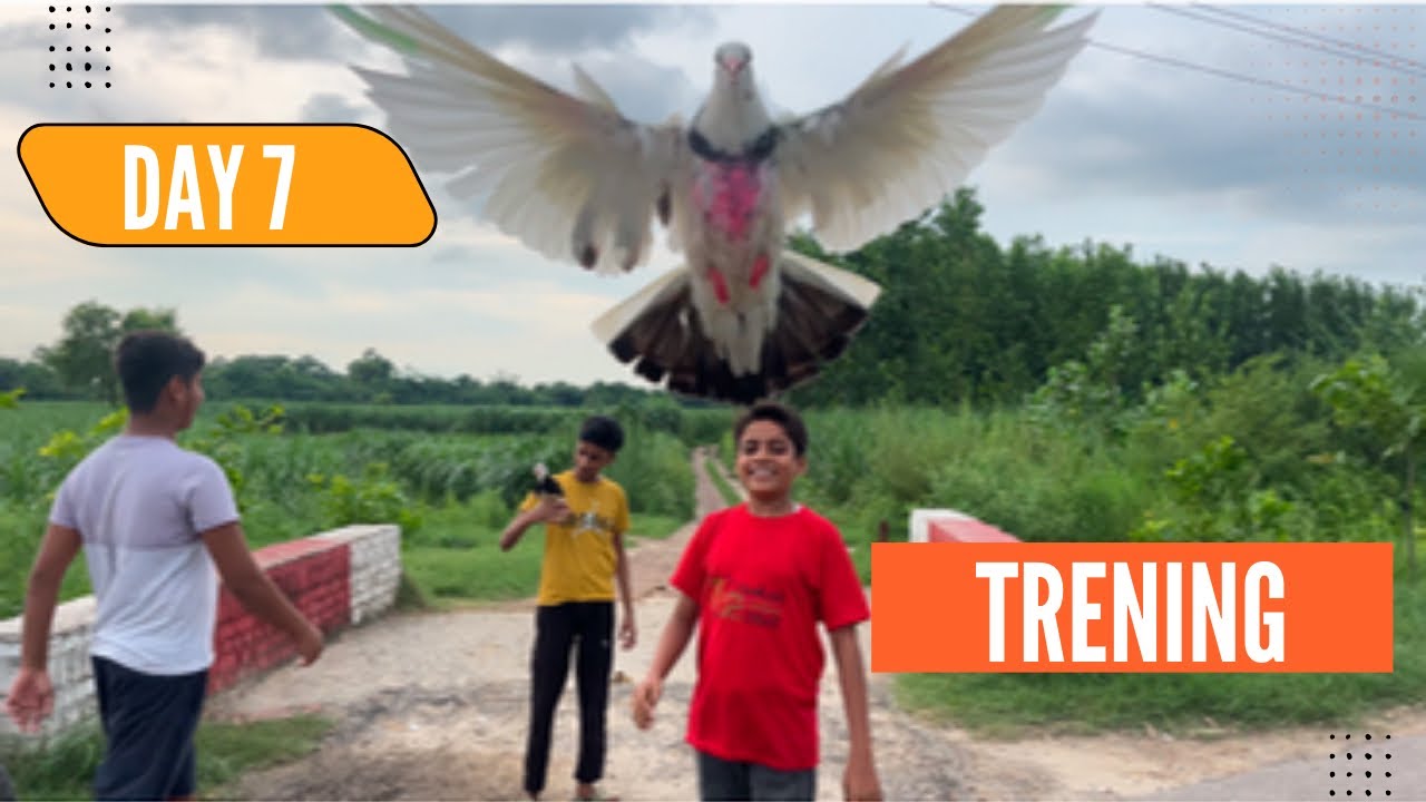 DAY 7 कबूतर को ट्रेनिंग कराते टाइम मिल गए बच्चे | किट्टू के साथ की बहुत सारी मस्ती ❤️
