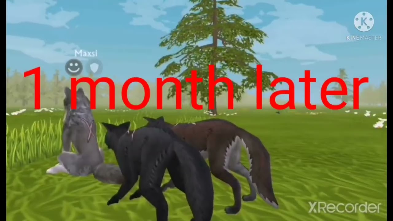 Sad Wolf Story) wildcraft music video