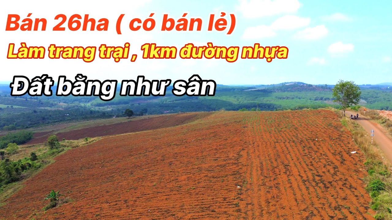 Siêu Phẩm Diện Tích Lớn 26ha Mặt Đường Nhựa Đẹp Như Bức Tranh Cần Bán Gấp/Đất Vườn Lâm Đồng 