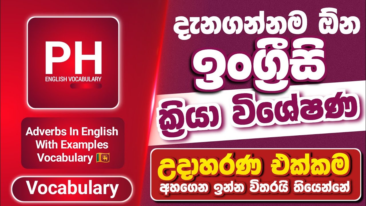 ADVERBS In English | Practice English Adverbs With Examples | English Vocabulary In Sinhala 😍🎓