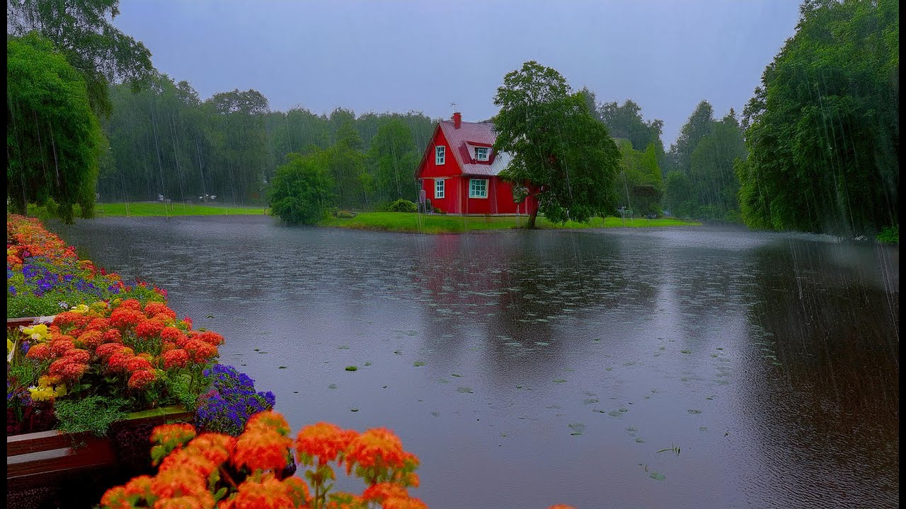 Gentle Rain Sounds For Sleeping, Relaxing And Study- 3D Binaural Rain Sounds - ASMR