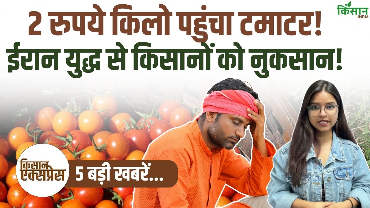 Kisan Express | ईरान युद्ध से नुकसान में प्याज किसान, 2 रुपये किलो पहुंची टमाटर की कीमतें! | Onion