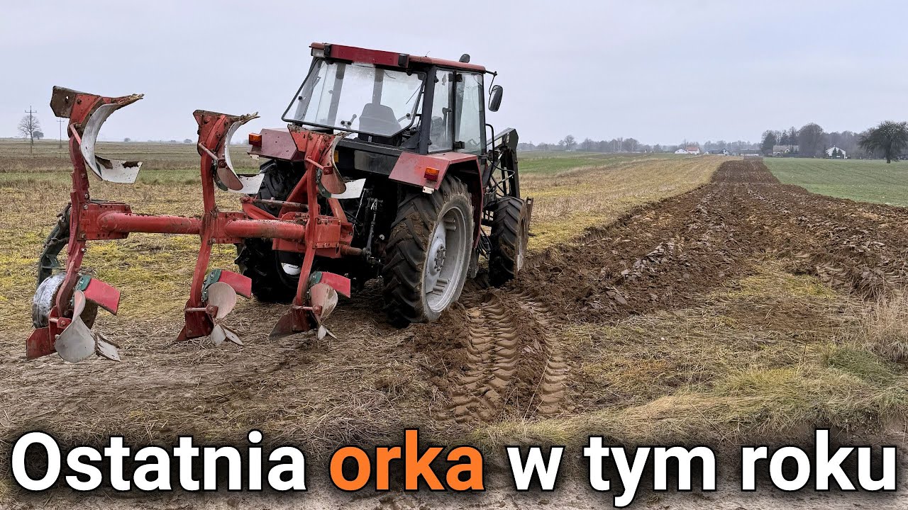 Ostatnia orka na zimę w tym roku