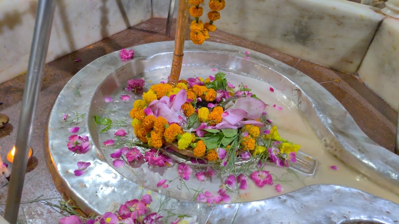 చంద్రుడు స్థాపించినశివలింగంश्री सोमेश्वरनाथ महादेव मंदिर#Prayagraj #Naini #prayagraj #ganga