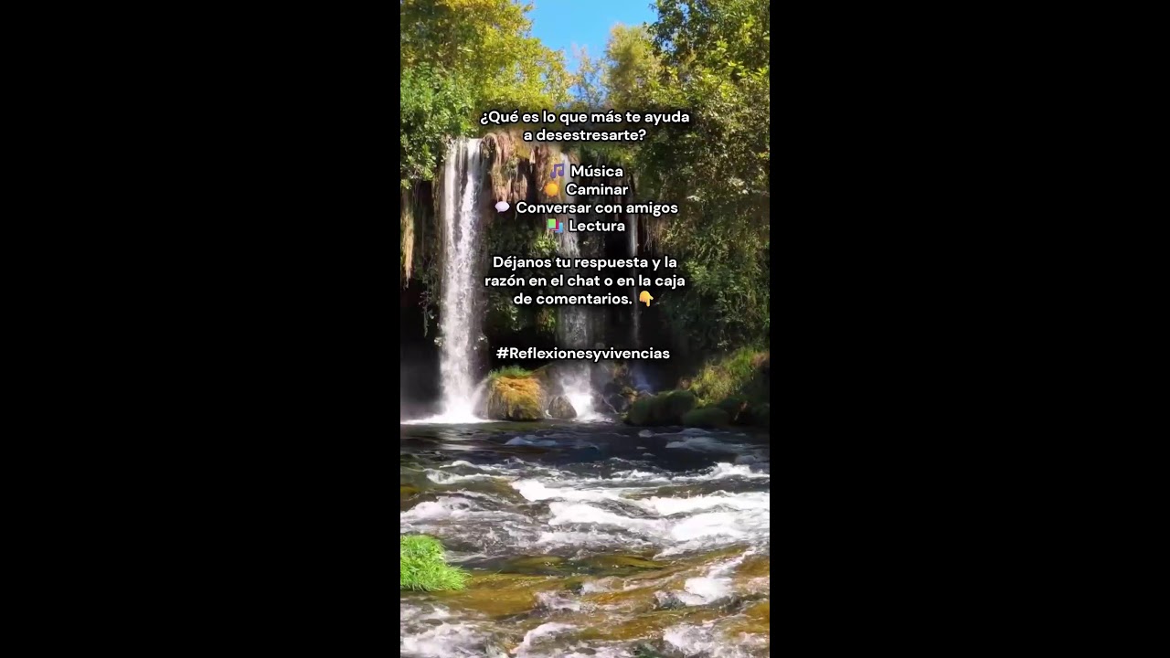 Reflexiones y vivencias en vivo: Desestresarte