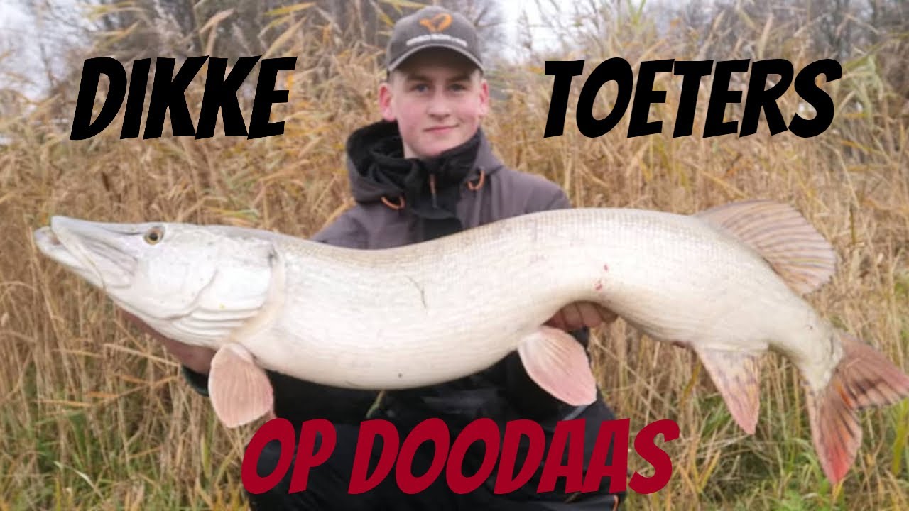 Doodaas vissen in de winter op meter snoeken!! [PikeFishing NL]