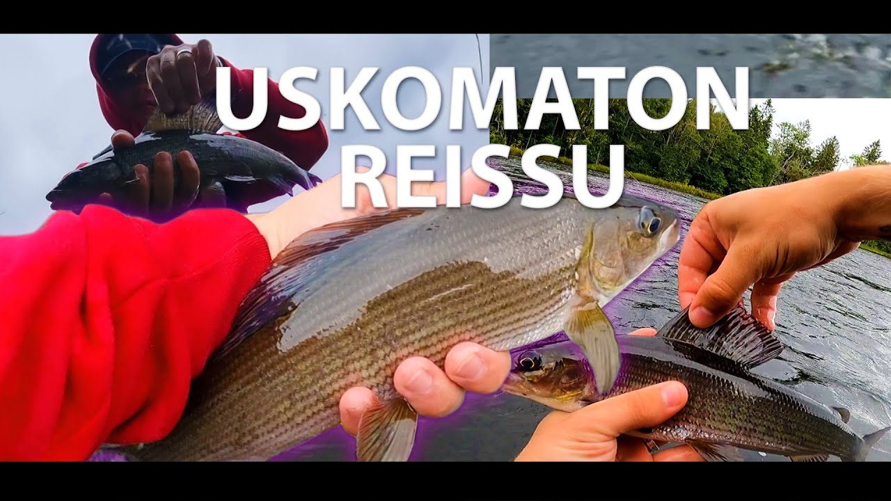 HARJUKSEN PERHOKALASTUSTA RUOTSISSA! (Ekat ikinä!)