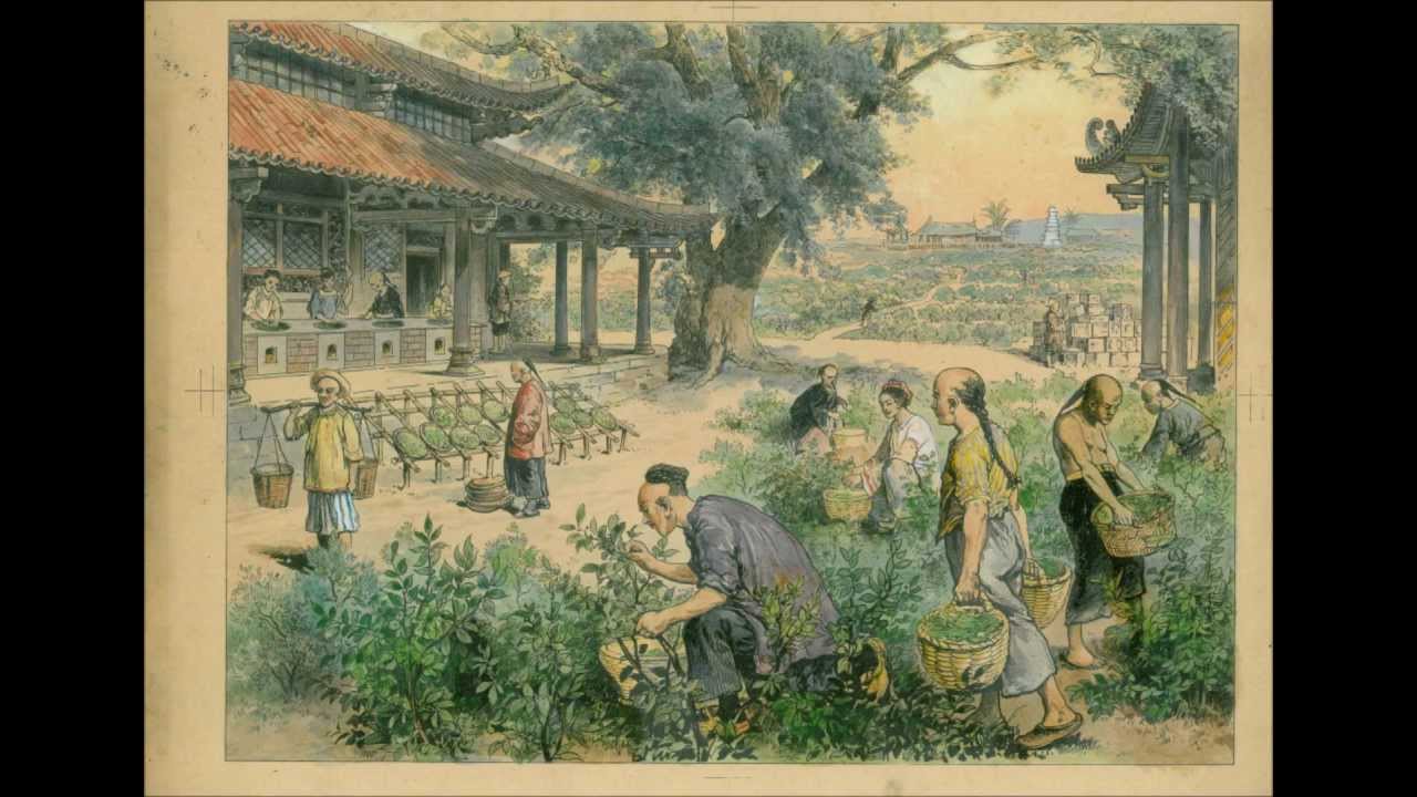 Tea Music - Lapsang Souchong
