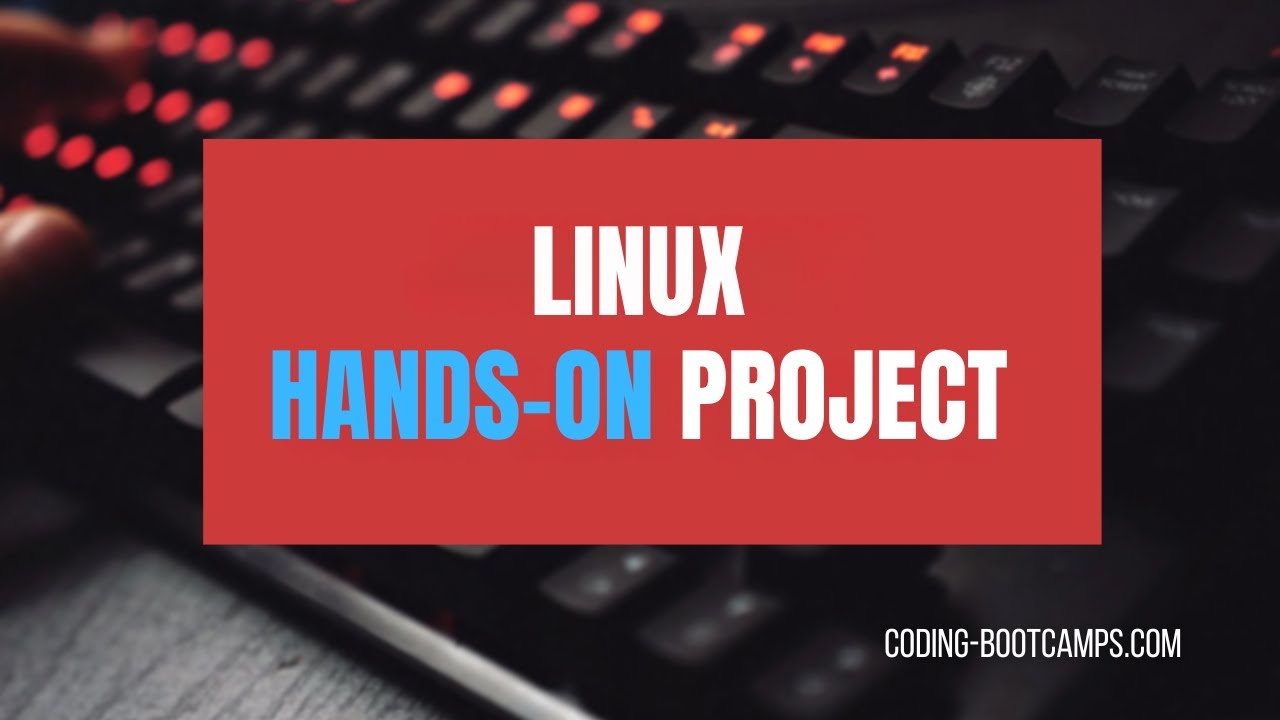 Linux OS for Beginners- 3 Hands-on Homework to Master Linux Commands