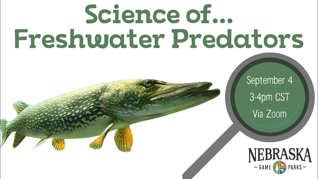 Science of...Freshwater Predators