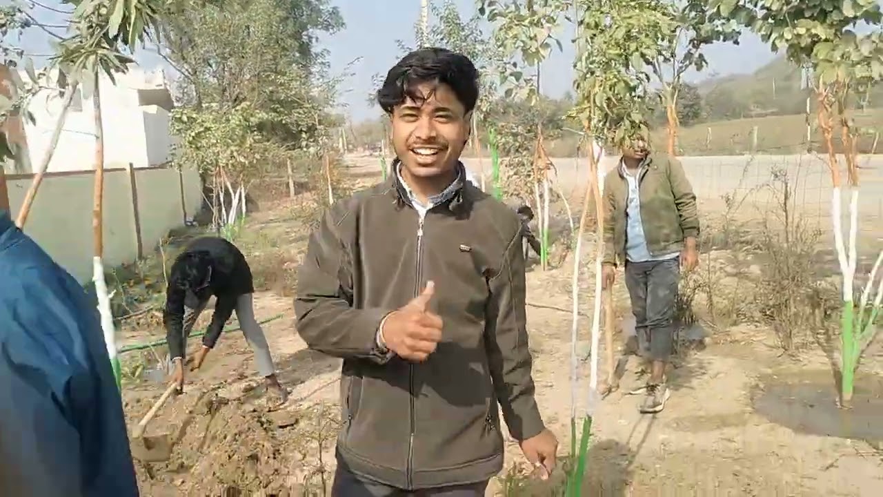वृक्षों की देखभाल