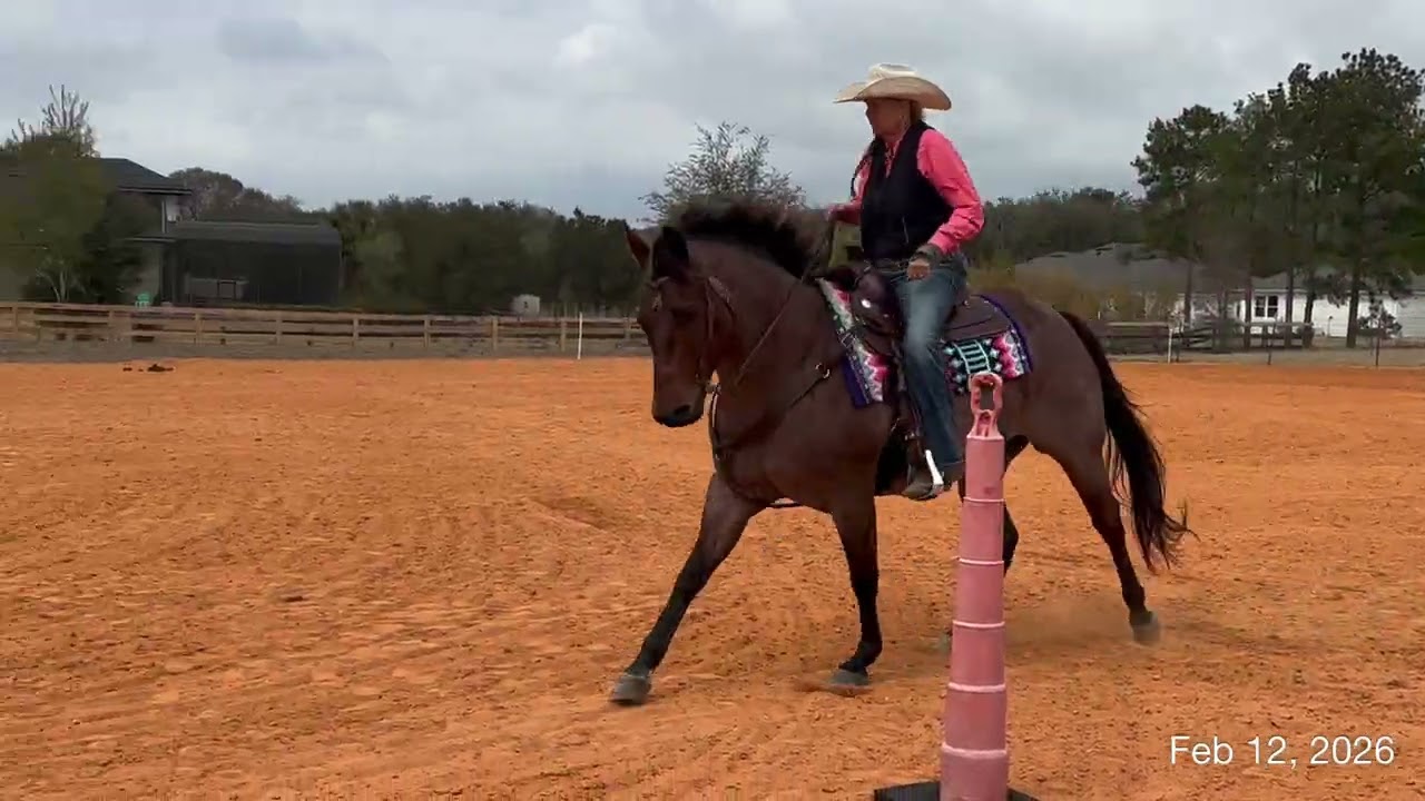2026 OHSA Feb Mary Ann Kocolowski & FQHR Sweet Whiskey/Ranch Riding