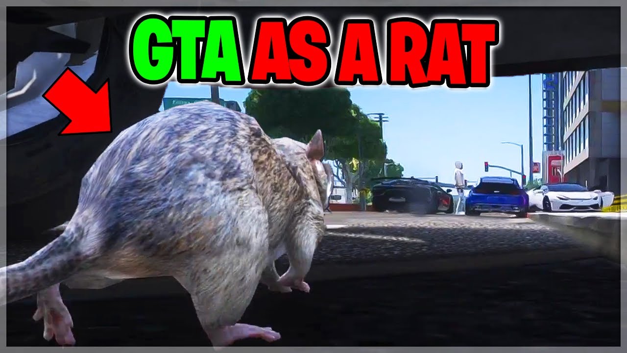 I Pretended To Be a Rat NPC Infiltrating Gangs On GTA RP
