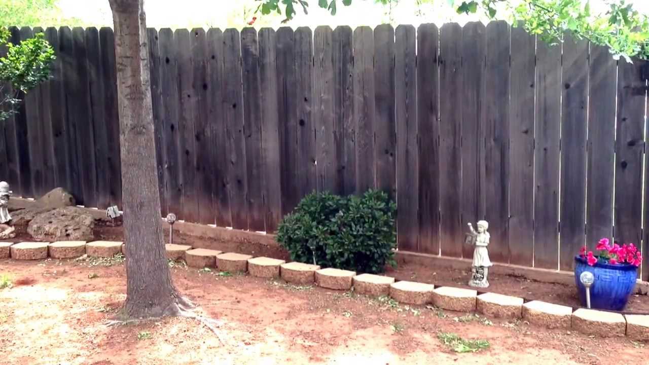 Baby Cardinal learning to fly right out of the nes