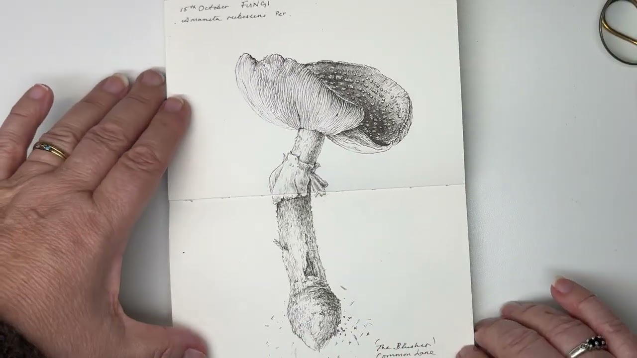 Inktober 2025 Week 2