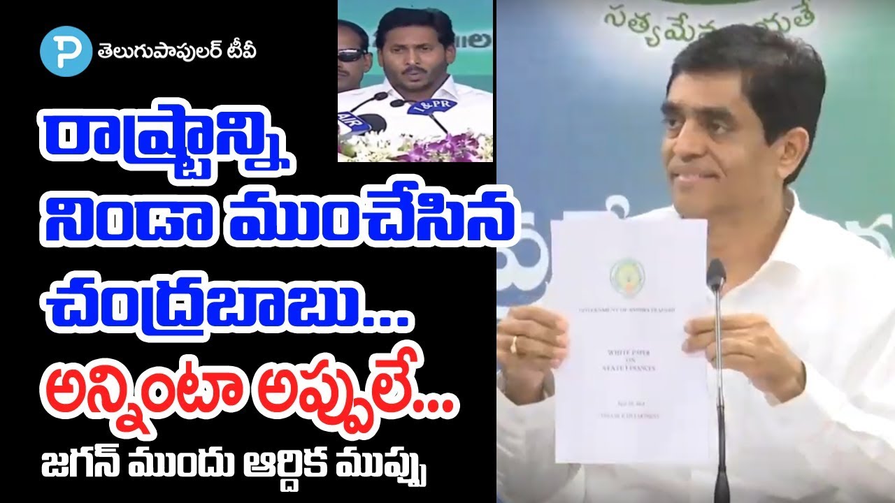 What is Andhra Pradesh Financial Condition: AP Finance Minister Explains