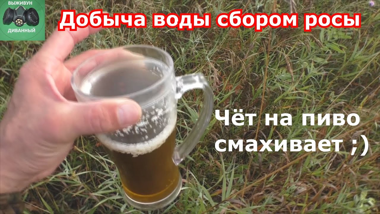 Добываем воду сбором утренней росы