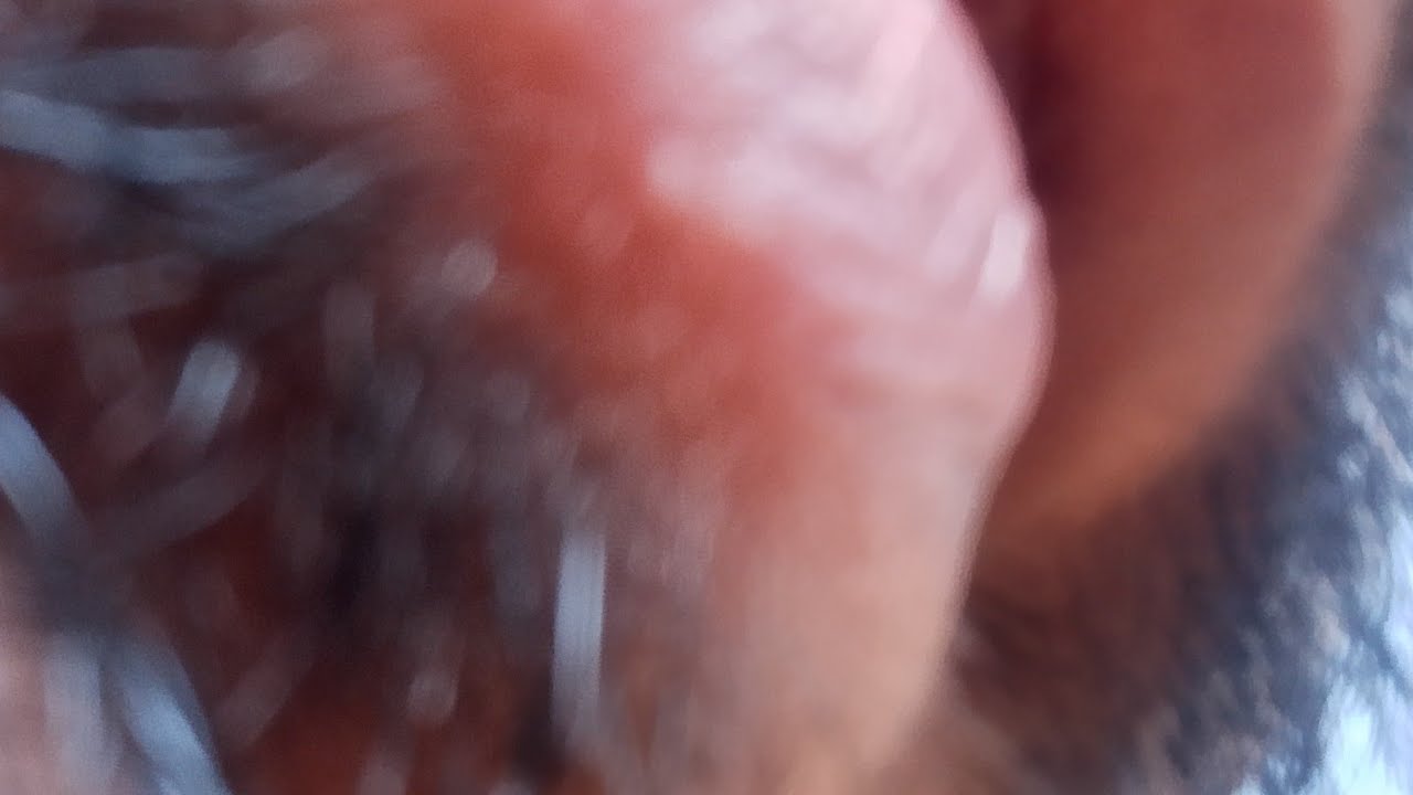 Welcome to new videos 😁 viral videos