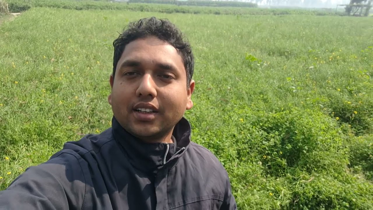 পরম বন্ধু উদ্ভিদের সাথে কথা 