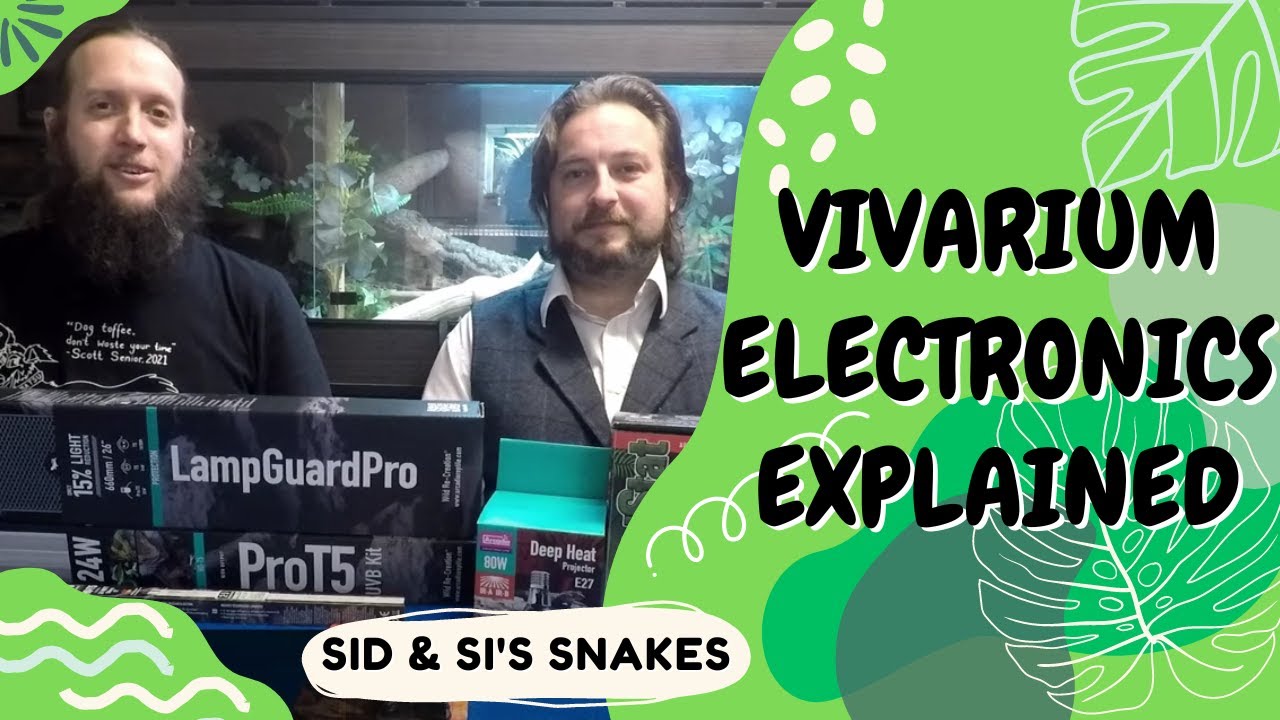 VIVARIUM ELECTRONICS EXPLAINED | Lights, heat, guards, and cable security explained