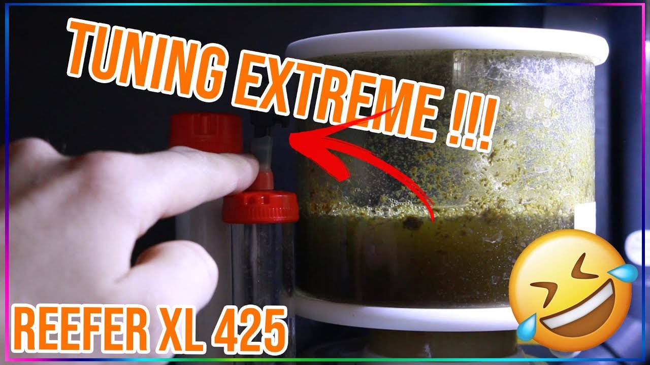 Absch&auml;umer Tuning Extrem !!! / Red Sea Reefer XL 425 | Marcoboom