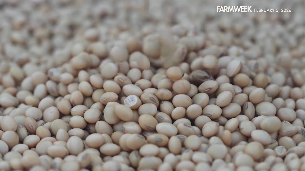 Farmweek | What Is? Soybeans | February 5, 2026