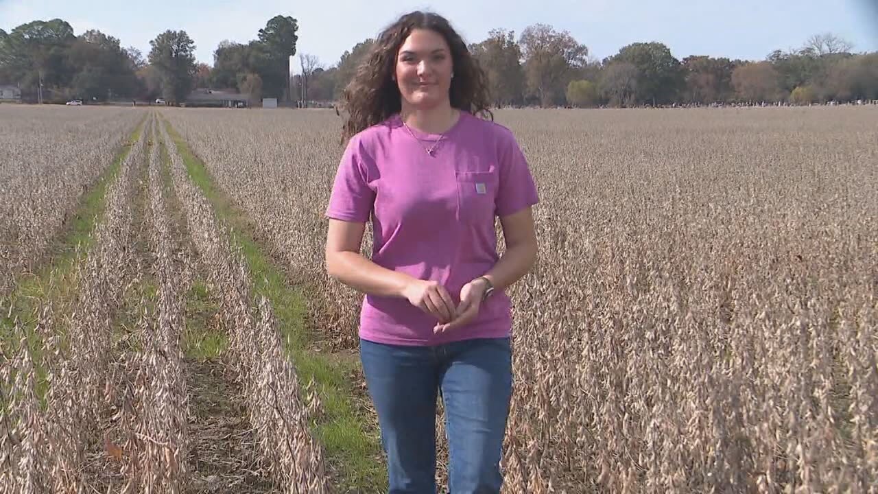 18-year-old takes over Arkansas farm, fights against rising costs and tariff threats