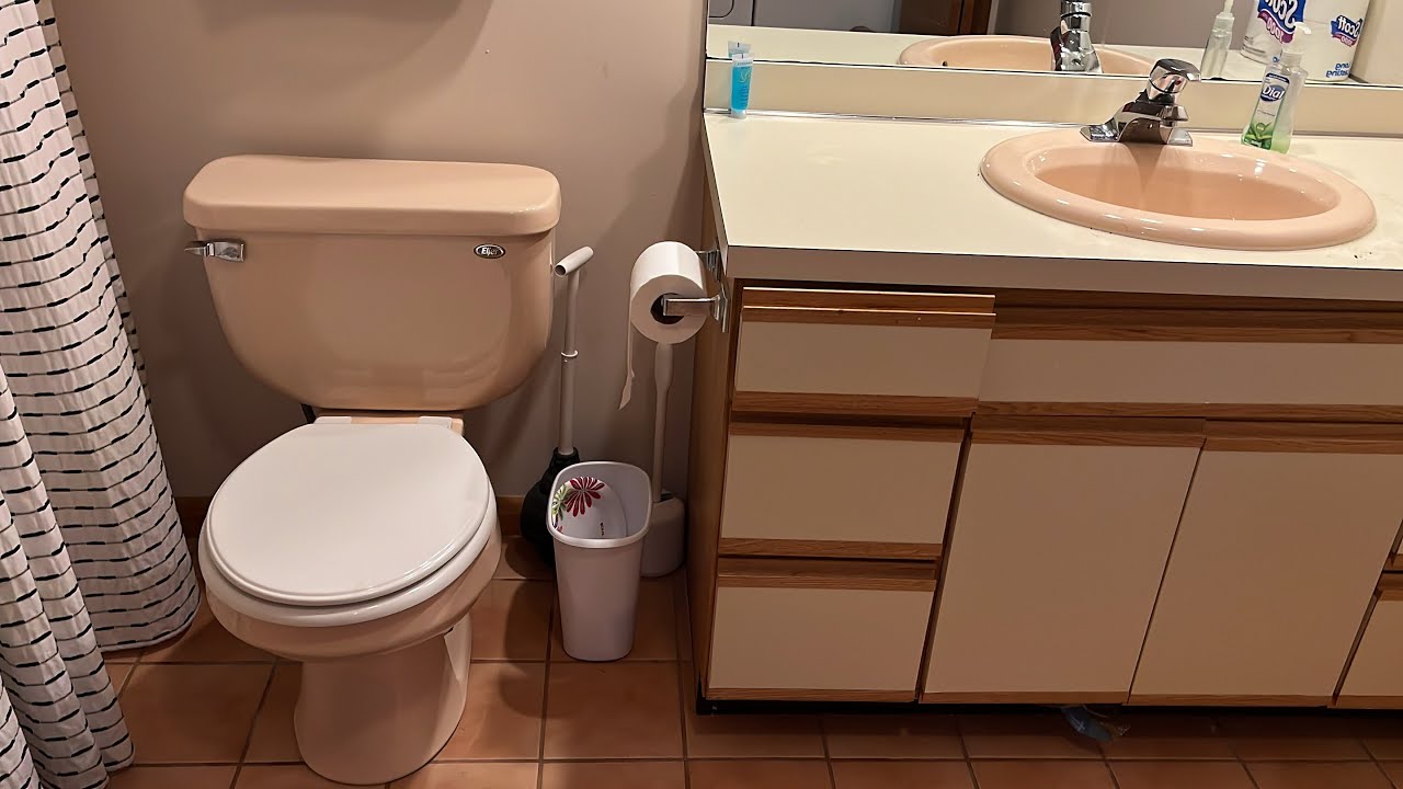 2000s Peach? Pink? Eljer Patriot Toilet