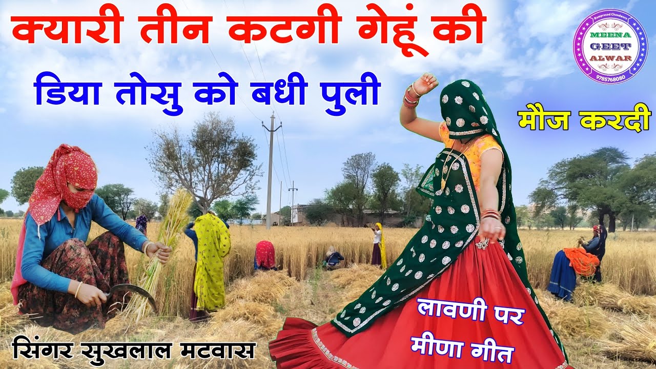 क्यारी तीन कटगी गेहूं की डिया तोसु को बधी पुली॥ Sukhlal matwas kanaram thali॥ meena geet॥लावणी सौंग