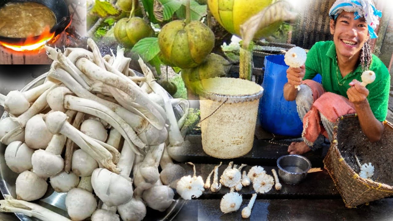 Wild Mushroom - Gift || of Monsoon || 😇 Monu || 😇