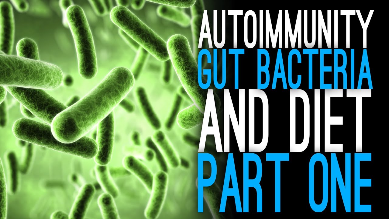 Autoimmunity, Gut Bacteria & Diet [Part 1]