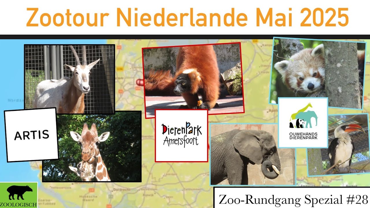 Meine erste Zootour | Niederlande 2025 | Zoo-Rundgang Spezial #28