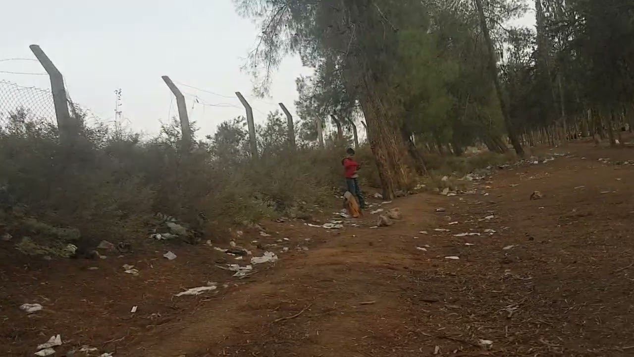 ٧ شباط، ٢٠٢٦