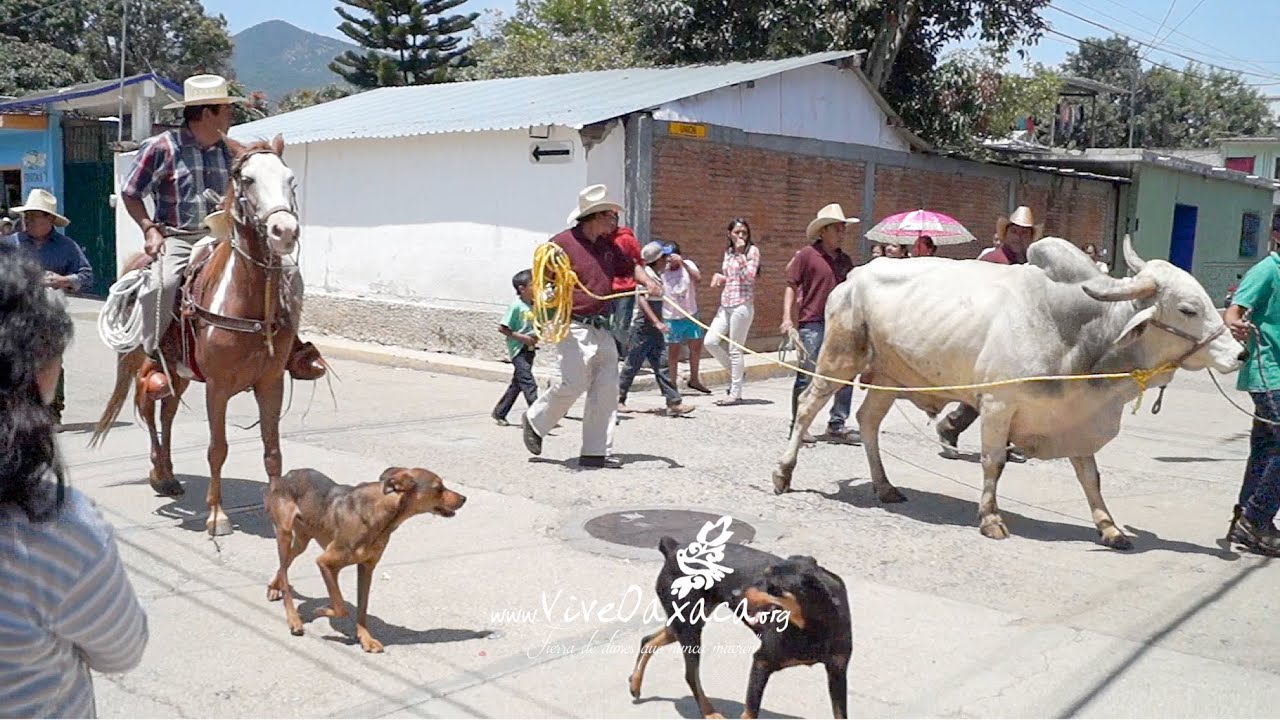Calenda de Toros 2015 en Santa María del Tule