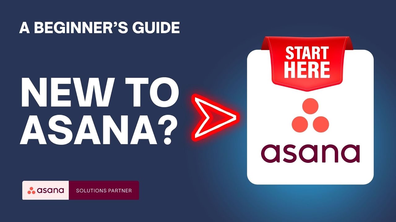 Asana for Beginners&nbsp;✅ Key Terms You Need to Know to Get Started