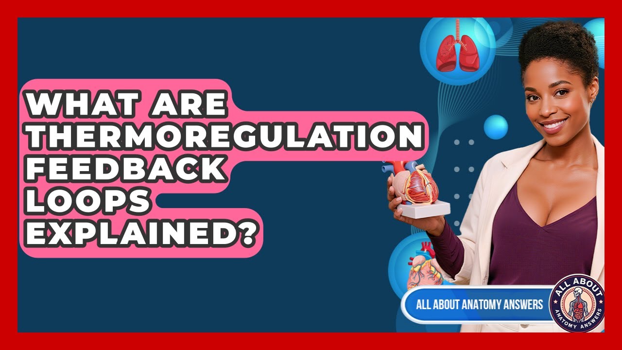 What Are Thermoregulation Feedback Loops Explained? - All About Anatomy Answers