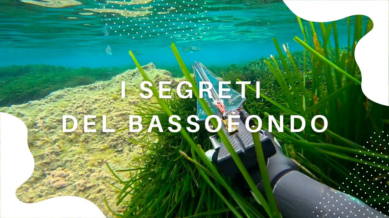 BASSOFONDO ESTREMO: TRUCCHI, SEGRETI, CONSIGLI PER INIZIARE [PESCASUB]