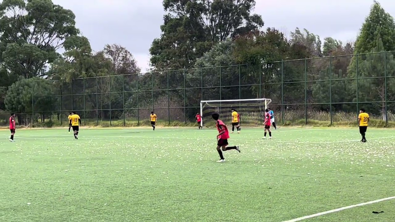 Partido de liga