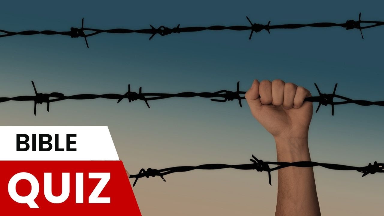 20 ВОПРОСОВ | СРАЖЕНИЯ, ВОЙНА, РЕЗНЯ И УБИЙСТВА