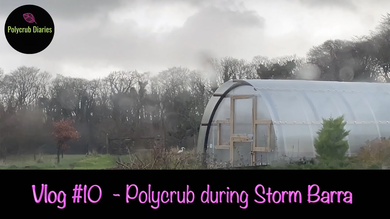 Polycrub during storm Barra (heavy duty polytunnel) - Vlog #10
