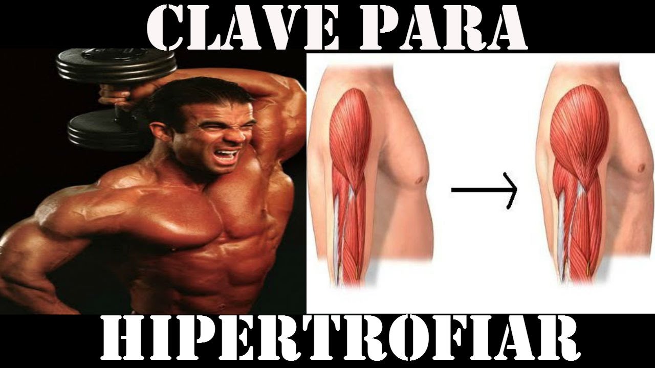 LA CLAVE PARA HIPERTROFIAR MÁS RÁPIDO.