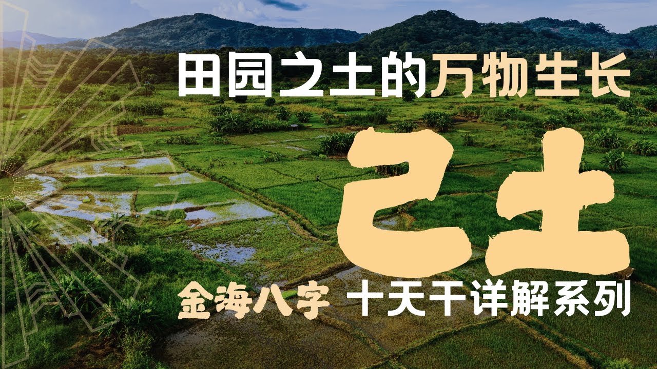 己土真解 田园之土的万物生长，一个视频了解己土的特点