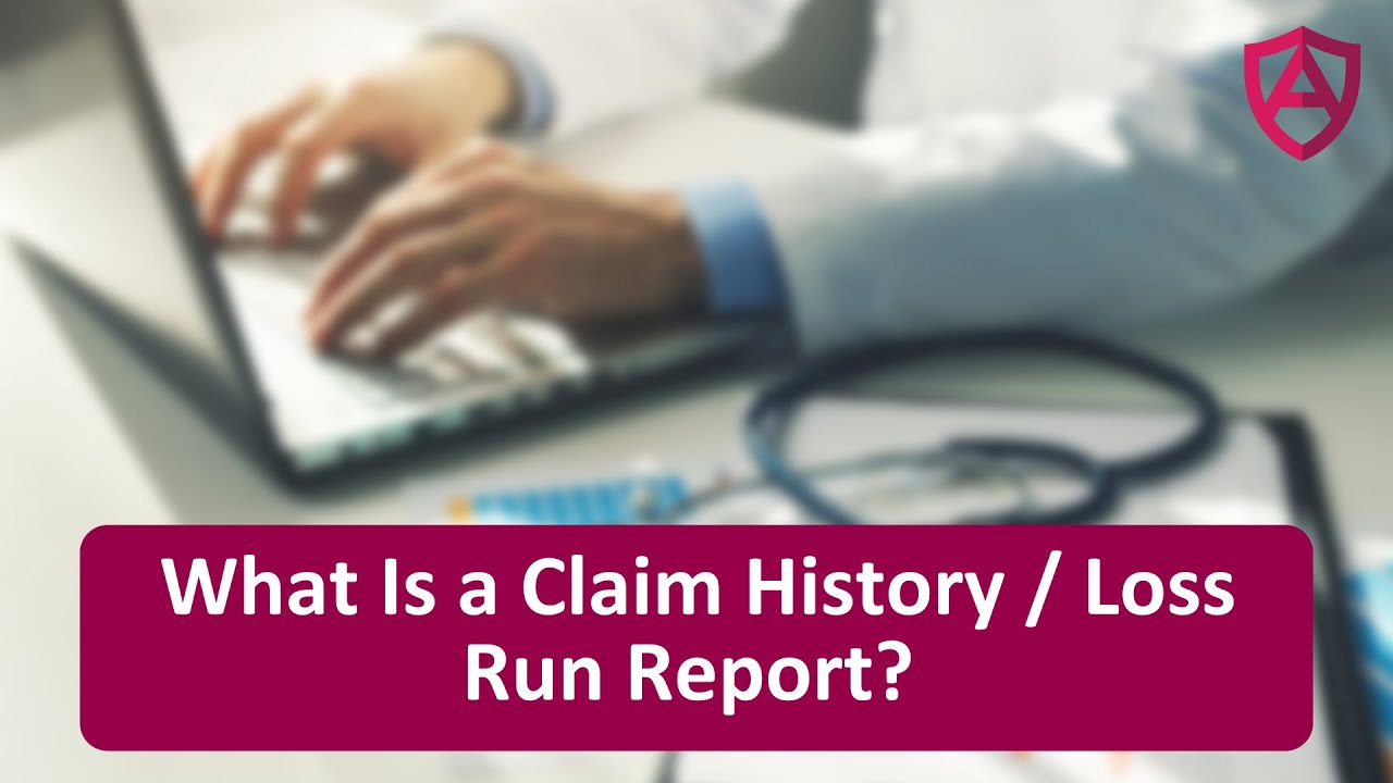 What is a Claim History or Loss Run Report?