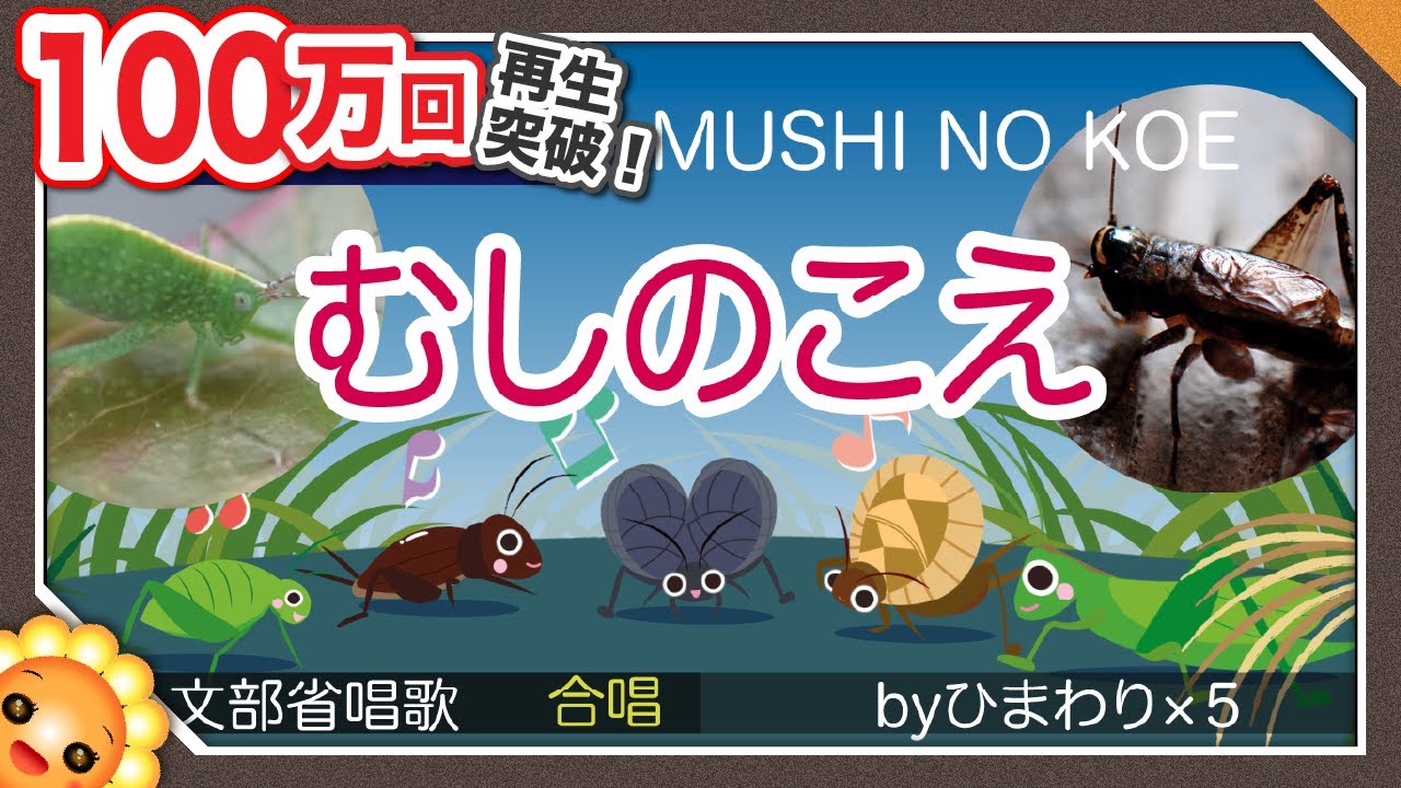虫のこえ（♬あれマツムシが鳴いている〜）byひまわり×５🌻【合唱】歌詞付き【日本の歌百選】虫の写真ありでわかりやすい｜かわいい秋の童謡｜