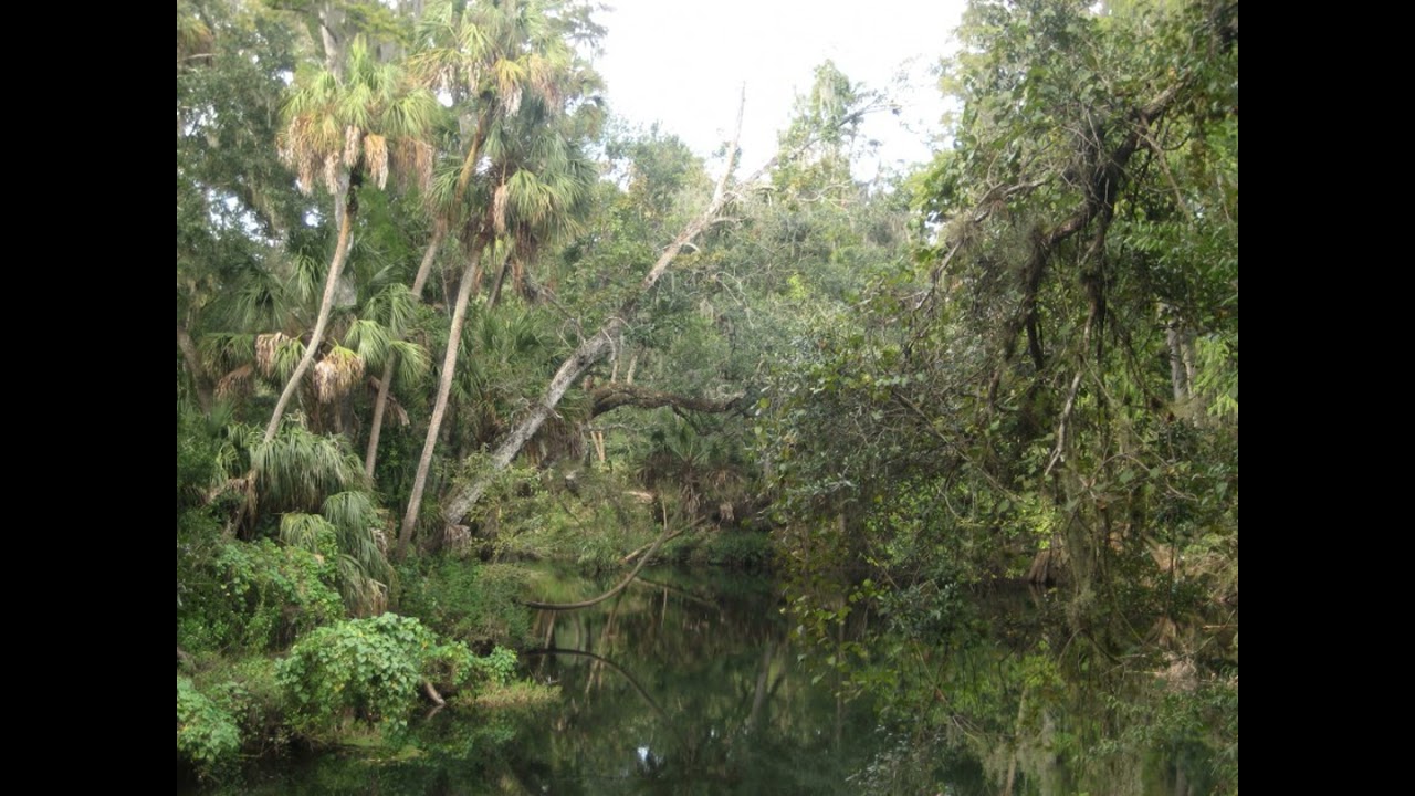 Protecting Florida's green spaces and the current FDEP proposal