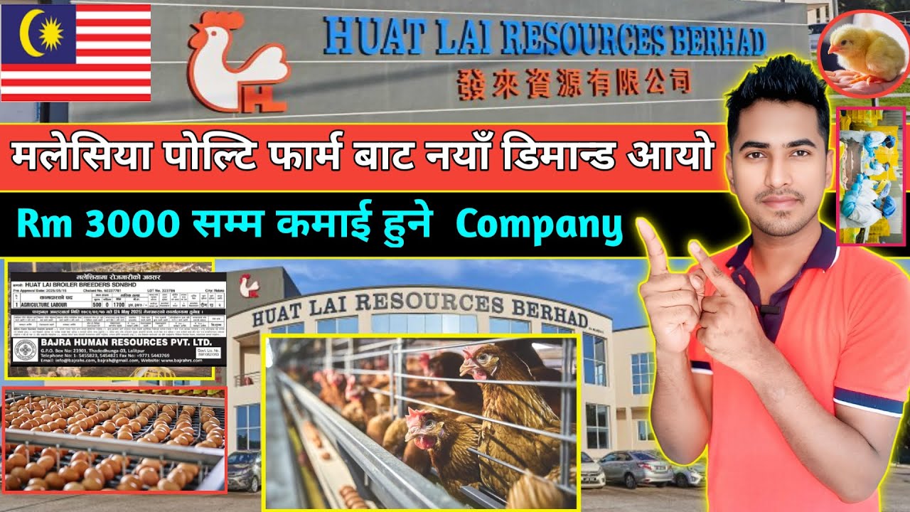 Huat Lai Broiler Breeders Sdn Bhd | Malaysia Politry Company New Demand Letter | Malaysia  Demand