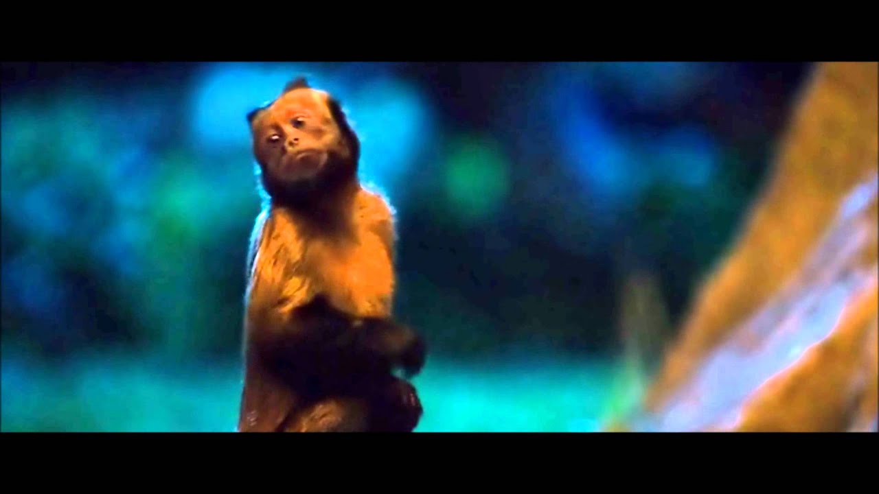 Zookeeper - Its all about the thumbs baby (HD)