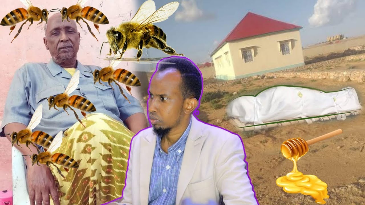 Daawo Dhacdo Xanuun Badan Aabo Awaayeel ah oo shine ay Dishay Jowhar.