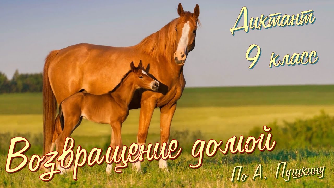 Диктант по русскому языку с проверкой! 9 класс. Возвращение домой #диктант9класс #диктант