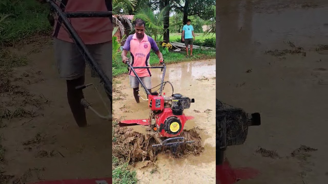 5hp Diesel power weeder #limitless